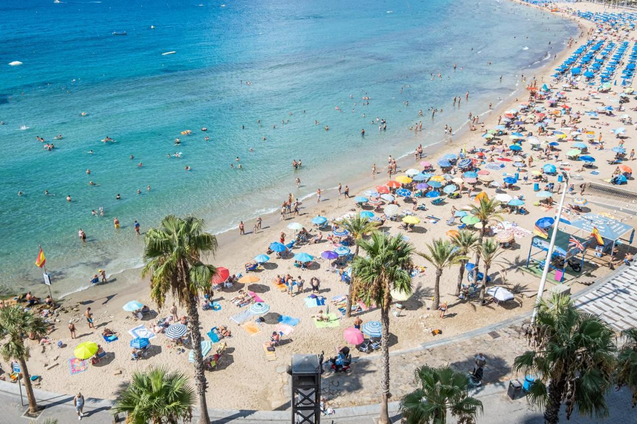 Don Miguel Apartment Deluxe 7-A Levante Beach Benidorm Eksteriør billede